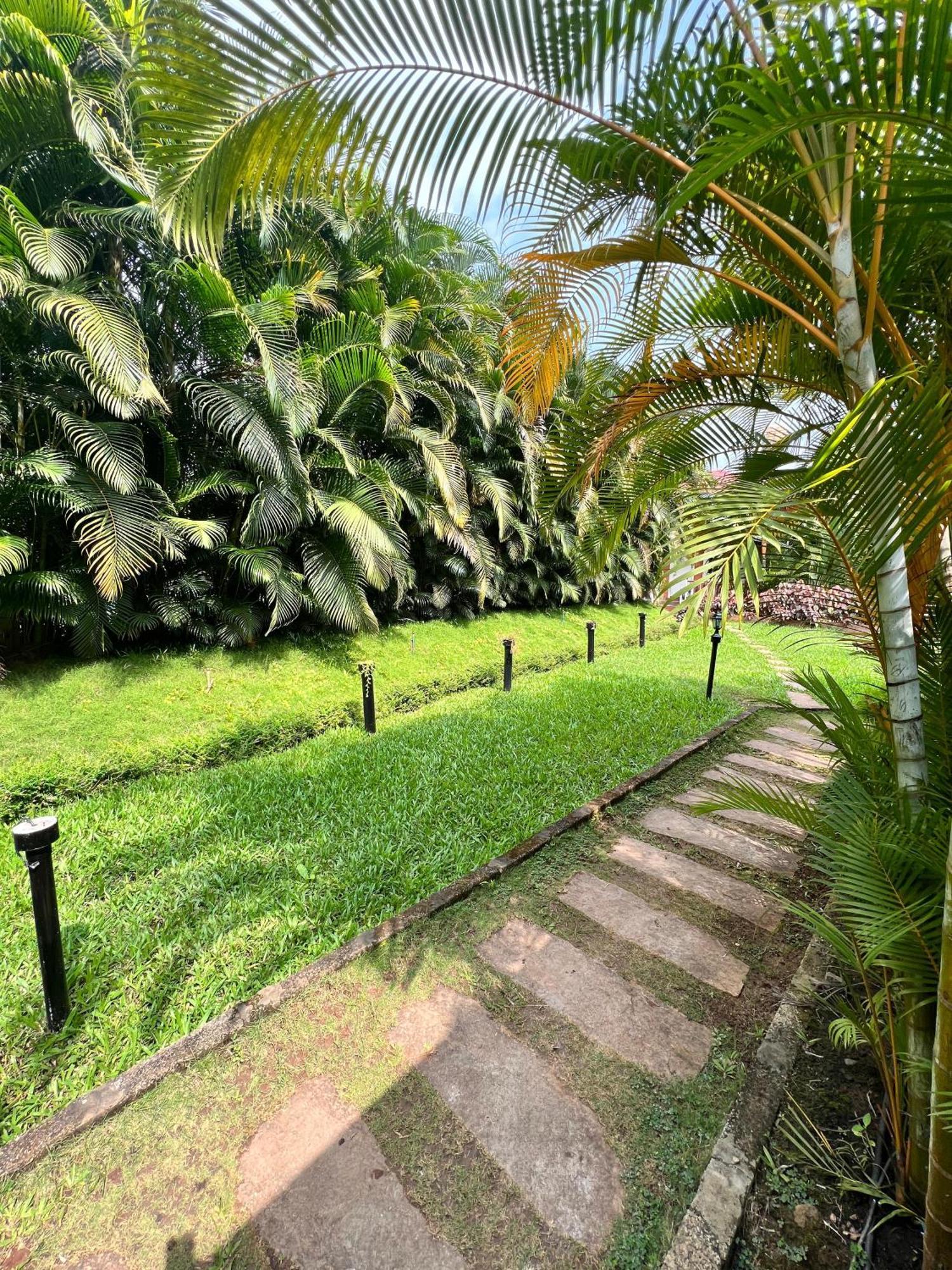 Coorg Nesara Hotel And Resort Kushālnagar エクステリア 写真
